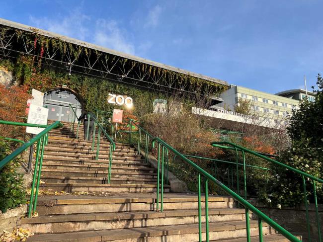 关于爱丁堡动物园的15个惊人事实